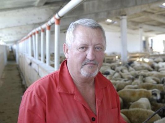 Un fermier din Tulcea a descoperit cea mai sigură cultură agricolă